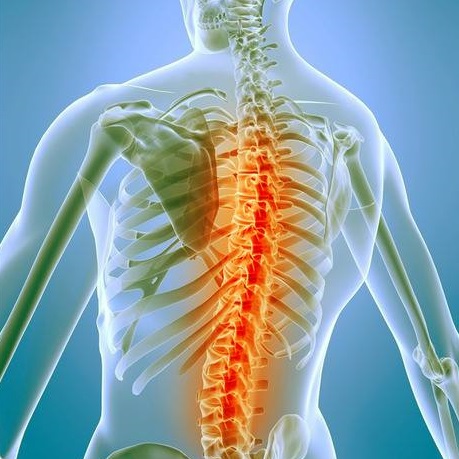 Trastornos de la columna vertebral